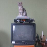 Player avatar
