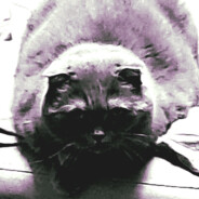 Katletka258 - steam id 76561199561293509