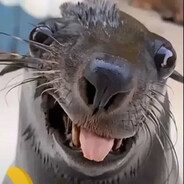HappySeal12 avatar