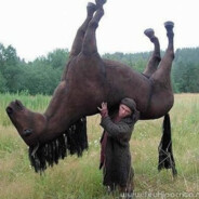 João Carlos Equitador