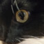 HiWhy's avatar
