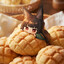 TakSebe_Serega