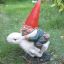 [DOG]Gnome06