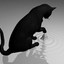 Schodinger&#039;s Cat
