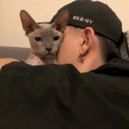 拳打脚踢社会人