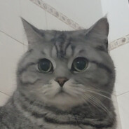 Levofloxacin.Hydrochloride