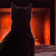 𝘝𝘐𝘗 | 𝘙𝘦𝘑𝘰 - steam id 76561199850283740