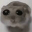 Notgengargaming