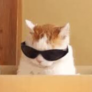 紫喵٩(●˙▿˙●)۶