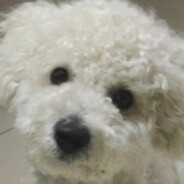 没有对象，重金求偶