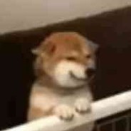 憨批队友在线丢人