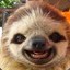 evil sloth