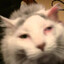puz00_