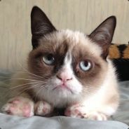 ( °□°)  Albangw0tm8