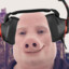 John Pork Gaming