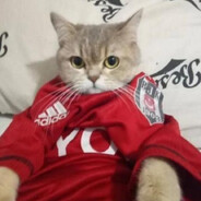 Hydref The Pompaşör Steam avatar
