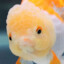 Mister Oranda