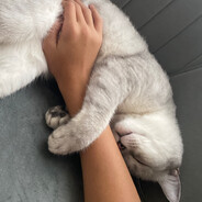 kavi