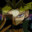 Yugi - 소울이터 avatar