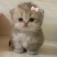 красотка с…