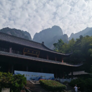 迪丽热九