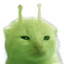 Glorp