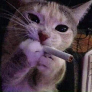 Qty's Avatar