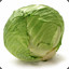 The Moldy Cabbage