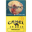 Camel
