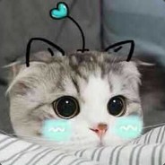 Big Avatar