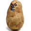 THE SENTIENT POTATO