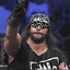 Macho Man Bermiss