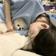 炫酷暗黑狂拽霸王龙