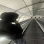 eloqwnc3