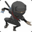 Ninja