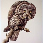 BullHorn - steam id 76561197960872254