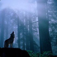 我叫关羽你怕吗