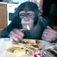 monke on steroids ✈▮▮