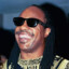 Stevie Wonder