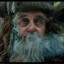 Radagast