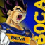 VEGETA BOSTERO