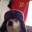 RUSKI DOG