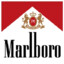 MarlboroEnjoyer