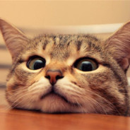 有些时候的偶遇