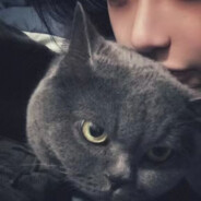 新人小白别压力