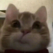 зам по пиздежам