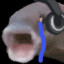 DRVkiller