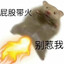 麟宝