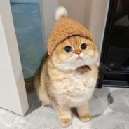 토마스