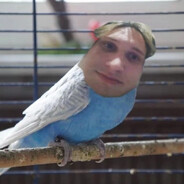 богатый папа бедн